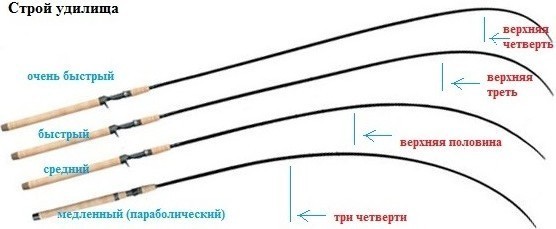 Как выбрать спиннинг для рыбалки: полезные советы